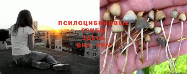 амф Беломорск