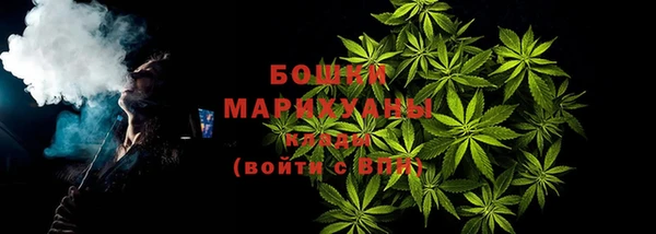 ГАЛЛЮЦИНОГЕННЫЕ ГРИБЫ Белокуриха