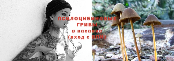хмурый Белоозёрский