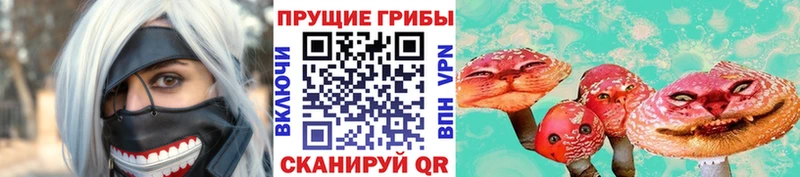 Псилоцибиновые грибы Psilocybine cubensis  hydra ССЫЛКА  Кяхта 